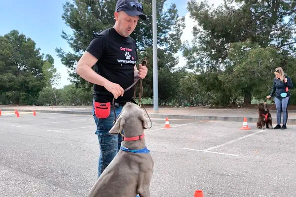 Educación canina en San Javier con YunDog