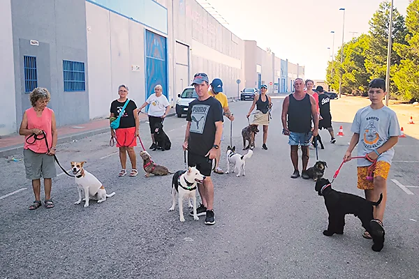 Clase grupal YunDog perros trabajando juntos