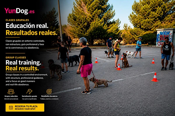 Clases grupales de obediencia y socialización canina